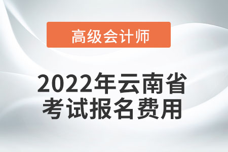 2022年云南省高級會計師考試報名費用公布