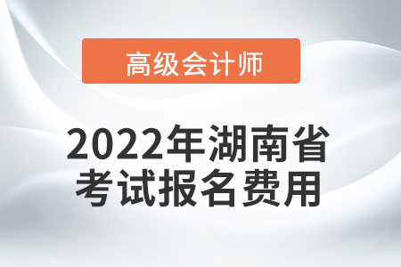 2022年湖南省高級(jí)會(huì)計(jì)師考試報(bào)名費(fèi)用公布