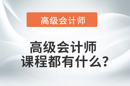 高級(jí)會(huì)計(jì)師課程都有什么？