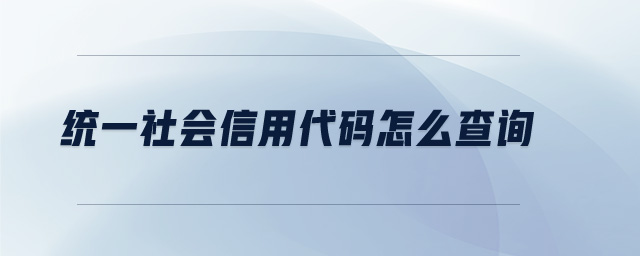 統(tǒng)一社會(huì)信用代碼怎么查詢