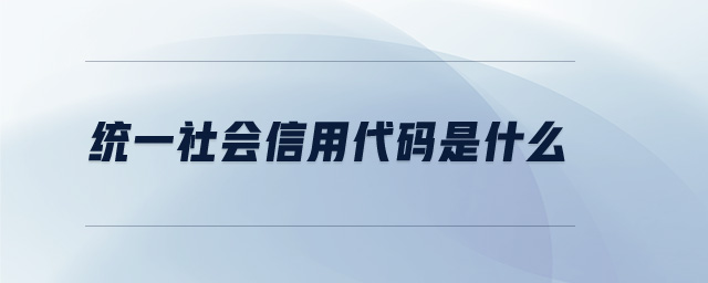 統(tǒng)一社會(huì)信用代碼是什么