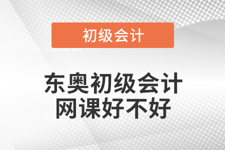 東奧初級(jí)會(huì)計(jì)網(wǎng)課好不好