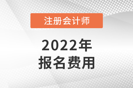 2022年各地cpa報名費公布了嗎？