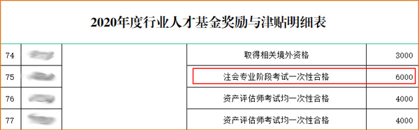 浙江《2020年度行業(yè)人才基金獎(jiǎng)勵(lì)與津貼明細(xì)表》