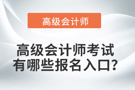 高級會計師考試有哪些報名入口,？