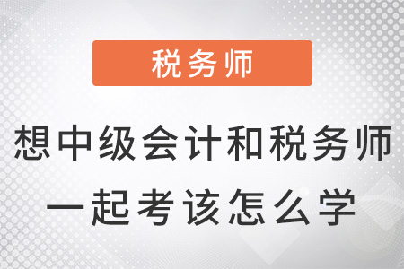 想中級(jí)會(huì)計(jì)和稅務(wù)師一起考該怎么學(xué),？