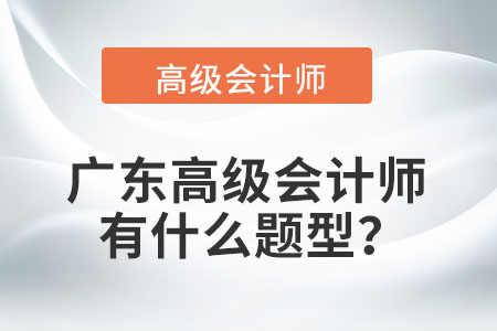 廣東高級(jí)會(huì)計(jì)師有什么題型？
