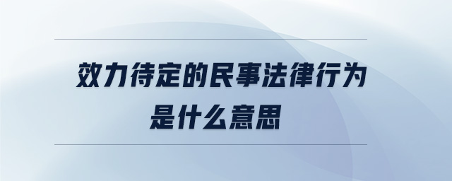 效力待定的民事法律行為是什么意思