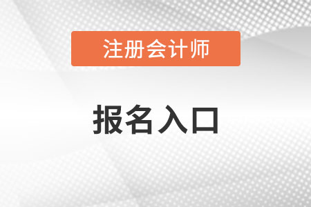 注冊會計師考試2022 報名入口是什么,？