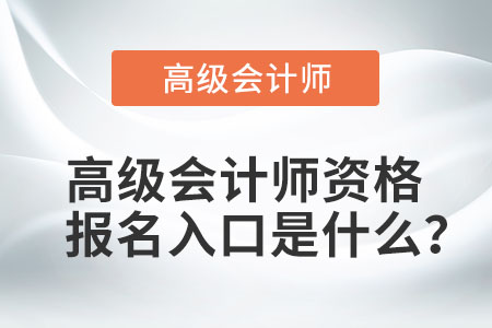 高級(jí)會(huì)計(jì)師資格報(bào)名入口是什么,？
