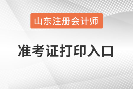 山東省濱州cpa準(zhǔn)考證打印入口怎么進(jìn)入,？