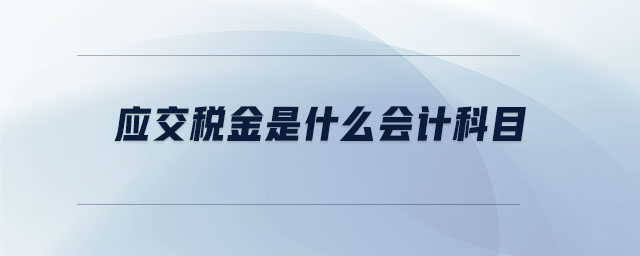 應(yīng)交稅金是什么會(huì)計(jì)科目