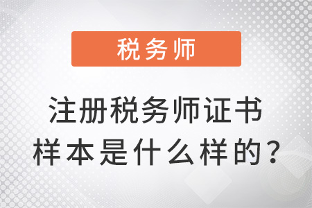 注冊稅務(wù)師證書樣本是什么樣的,？