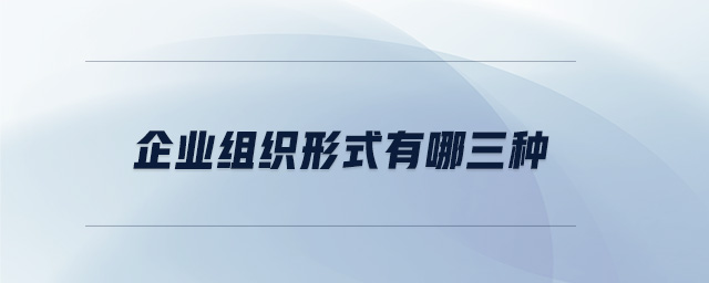 企業(yè)組織形式有哪三種