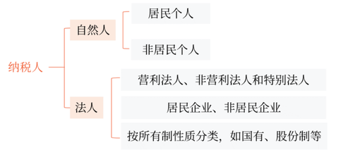 納稅人有兩種基本形式：自然人和法人
