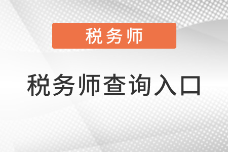 稅務(wù)師查詢?nèi)肟诠倬W(wǎng)