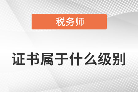 稅務(wù)師是什么級別的證書呢？