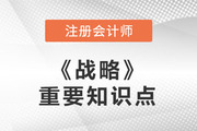 2022年注會(huì)戰(zhàn)略重要知識(shí)點(diǎn)：風(fēng)險(xiǎn)管理技術(shù)與方法