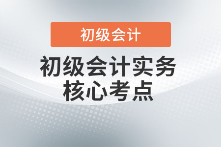 初級會計實務應該重點掌握哪些知識點,？