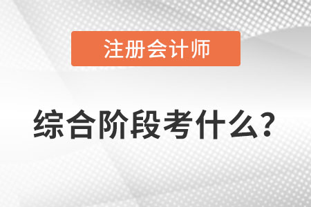 注會綜合階段考什么？