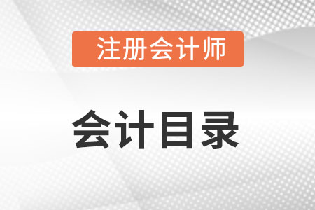 2022年cpa會(huì)計(jì)目錄是什么?