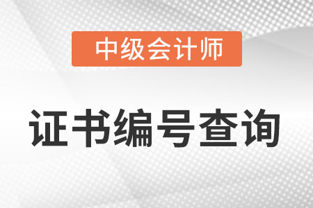 中級會計師證書號是哪一個?