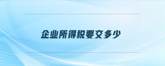 企業(yè)所得稅要交多少