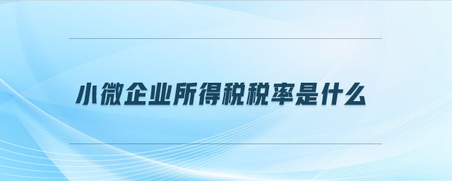 小微企業(yè)所得稅稅率是什么