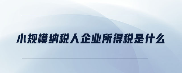 小規(guī)模納稅人企業(yè)所得稅是什么