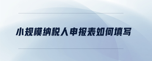 小規(guī)模納稅人申報表如何填寫