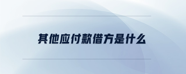 其他應(yīng)付款借方是什么