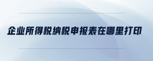 企業(yè)所得稅納稅申報(bào)表在哪里打印