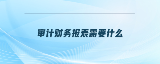 審計財務報表需要什么