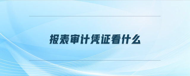 報(bào)表審計(jì)憑證看什么