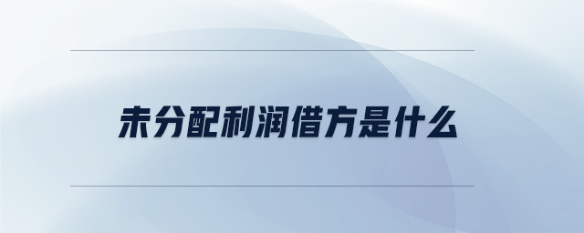 未分配利潤借方是什么