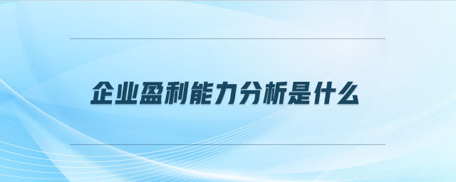 企業(yè)盈利能力分析是什么