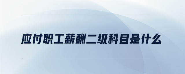 應(yīng)付職工薪酬二級科目是什么