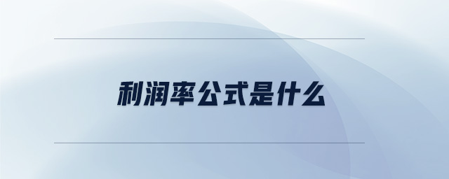 利潤(rùn)率公式是什么