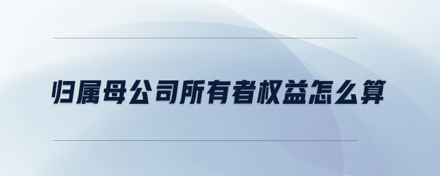 歸屬母公司所有者權益怎么算