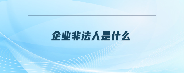 企業(yè)非法人是什么