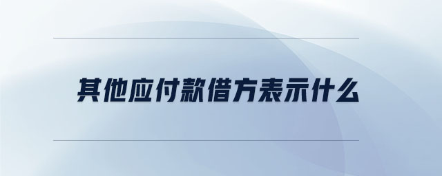 其他應(yīng)付款借方表示什么