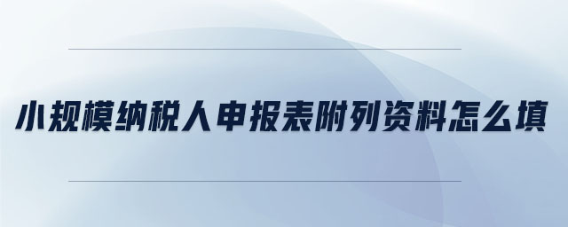 小規(guī)模納稅人申報(bào)表附列資料怎么填