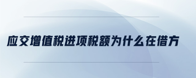 應(yīng)交增值稅進(jìn)項(xiàng)稅額為什么在借方