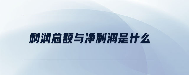 利潤總額與凈利潤是什么