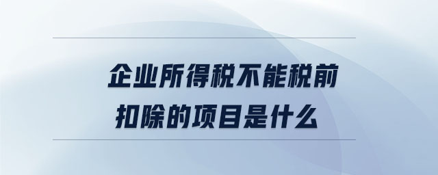 企業(yè)所得稅不能稅前扣除的項(xiàng)目是什么