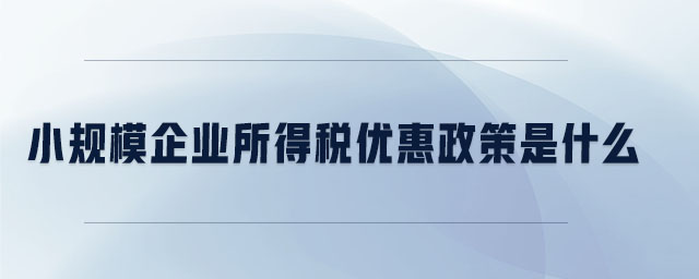 小規(guī)模企業(yè)所得稅優(yōu)惠政策是什么