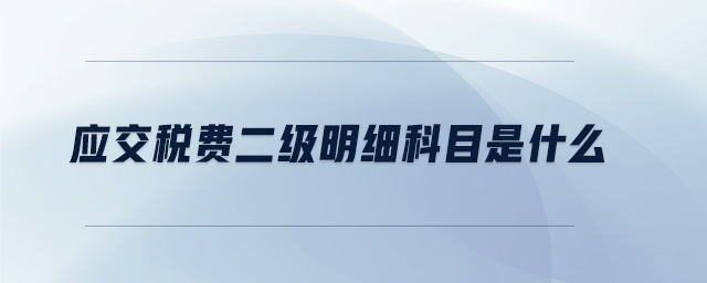 應(yīng)交稅費(fèi)二級明細(xì)科目是什么