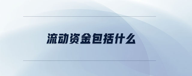 流動(dòng)資金包括什么
