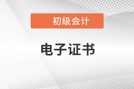 湖北關(guān)于實行初級會計職稱電子證書的通知