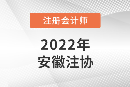 安徽省淮北注冊(cè)會(huì)計(jì)師協(xié)會(huì)官網(wǎng)是哪個(gè),？